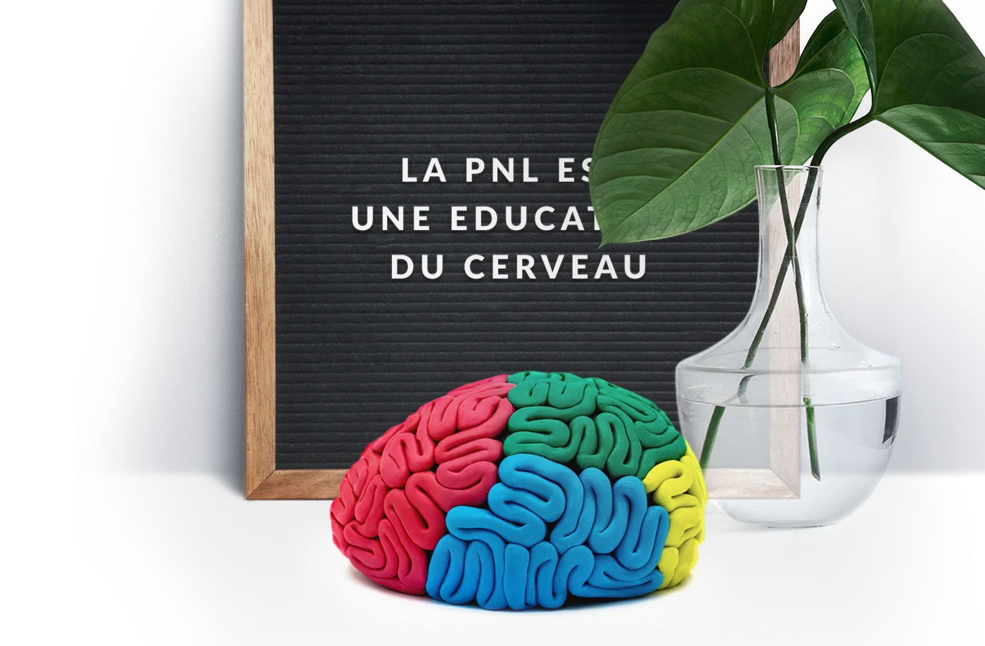 Header accueil