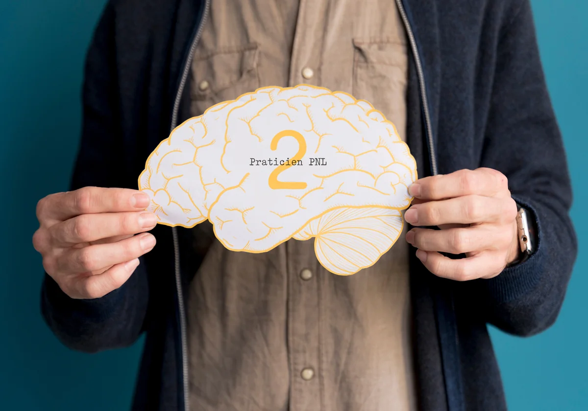 Praticien PNL - M1 (De la vision à l'action)