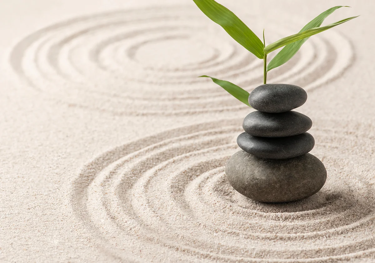 Formation Géobiologie