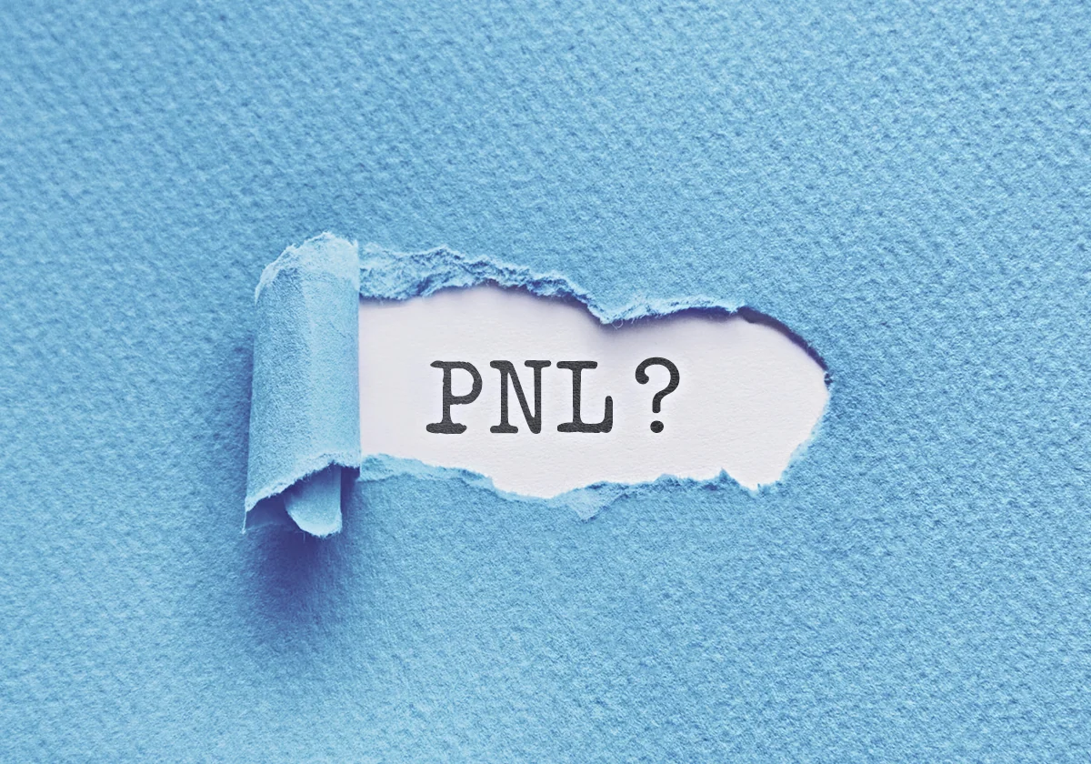 La Programmation Neuro-Linguistique (PNL)